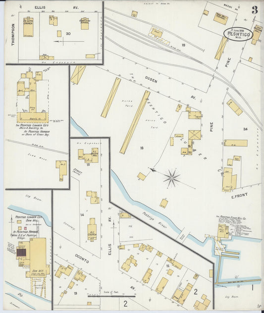 Sanborn Fire Insurance Map from Peshtigo, Marinette County, Wisconsin (1898), Sheet #0003 - Historic Sanborn Fire Insurance Map Print, vintage old map wall art, antique decor, genealogy gift, Wisconsin Wisconsin map