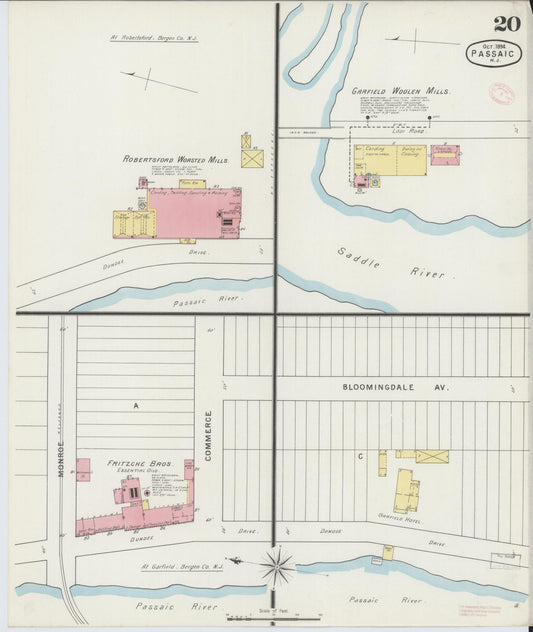 Sanborn Fire Insurance Map from Passaic, Passaic County, New Jersey (1894), Sheet #0020 - Historic Sanborn Fire Insurance Map Print, vintage old map wall art, antique decor, genealogy gift, New Jersey New Jersey map