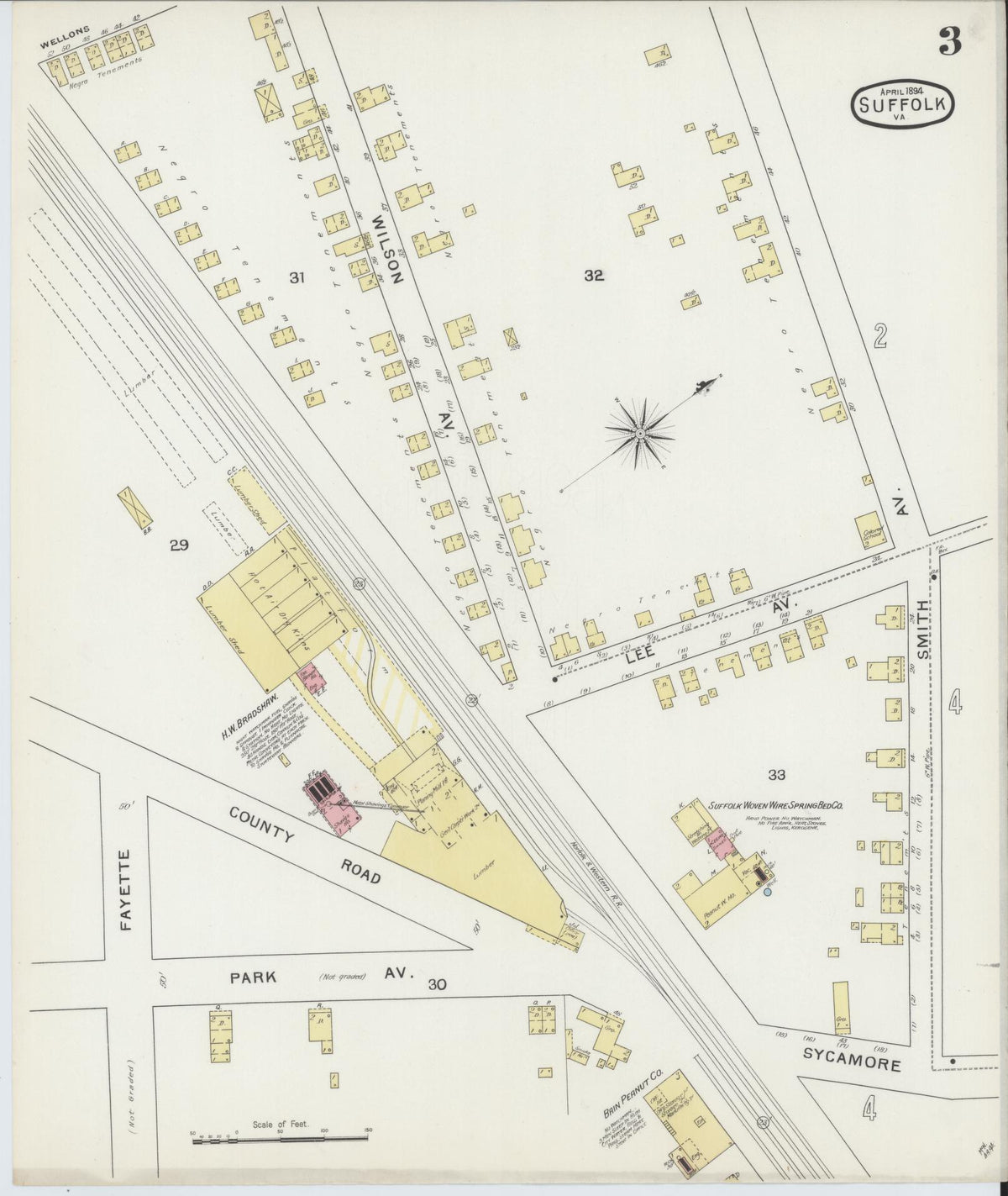 Sanborn Fire Insurance Map from Suffolk, Independent Cities, Virginia (1894), Sheet #0003 - Historic Sanborn Fire Insurance Map Print, vintage old map wall art, antique decor, genealogy gift, Virginia Virginia map