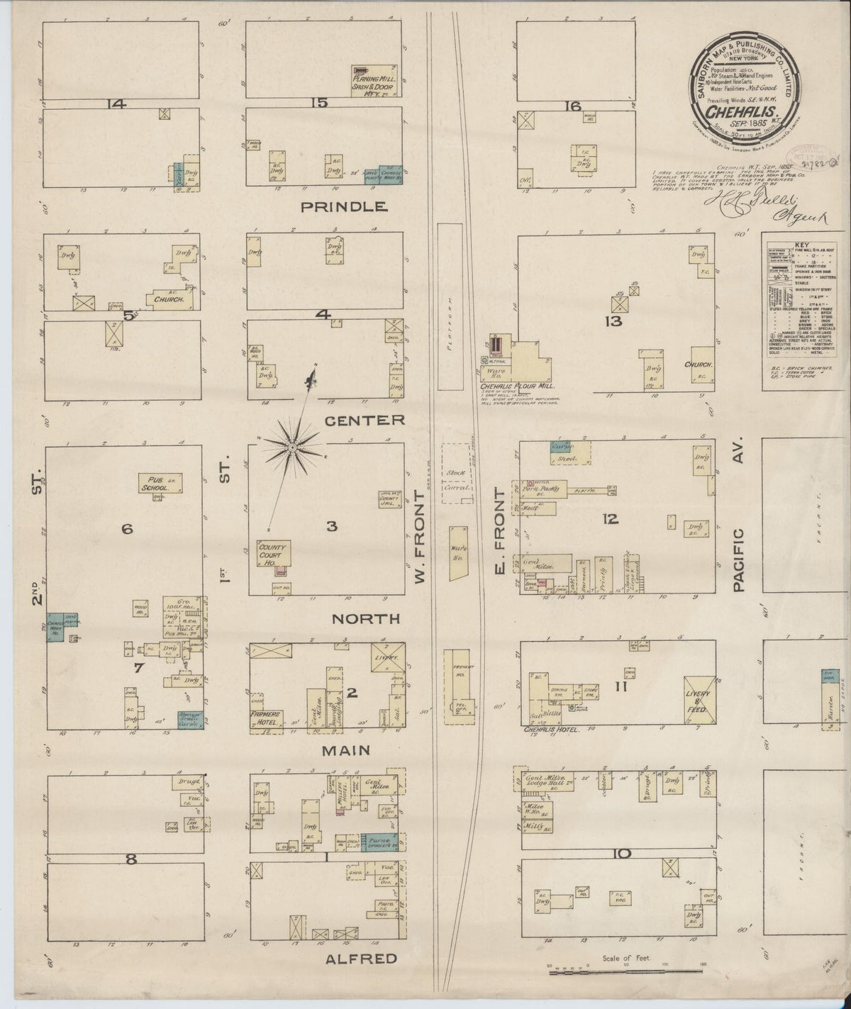 Sanborn Fire Insurance Map from Chehalis, Lewis County, Washington (1885), Sheet #0001 - Historic Sanborn Fire Insurance Map Print, vintage old map wall art, antique decor, genealogy gift, Washington Washington map