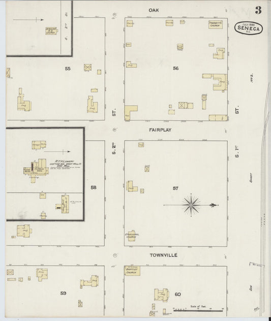 Sanborn Fire Insurance Map from Seneca, Oconee County, South Carolina (1889), Sheet #0003 - Historic Sanborn Fire Insurance Map Print, vintage old map wall art, antique decor, genealogy gift, South Carolina South Carolina map