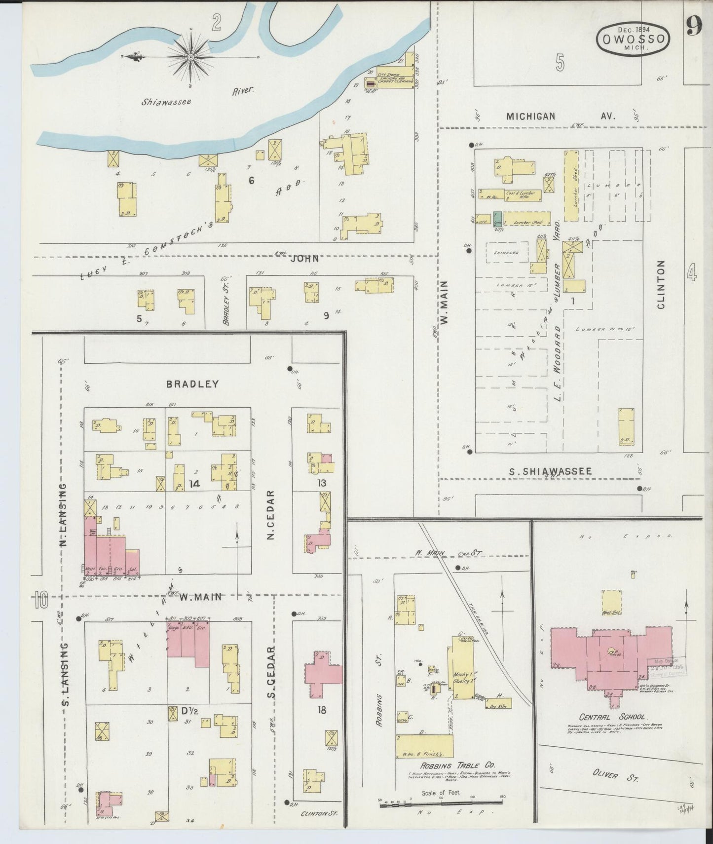 Sanborn Fire Insurance Map from Owosso, Shiawassee County, Michigan (1894), Sheet #0009 - Historic Sanborn Fire Insurance Map Print, vintage old map wall art, antique decor, genealogy gift, Michigan Michigan map