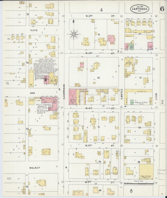 Sanborn Fire Insurance Map from Carthage, Jasper County, Missouri (1897), Sheet #0006 - Historic Sanborn Fire Insurance Map Print, vintage old map wall art, antique decor, genealogy gift, Missouri Missouri map