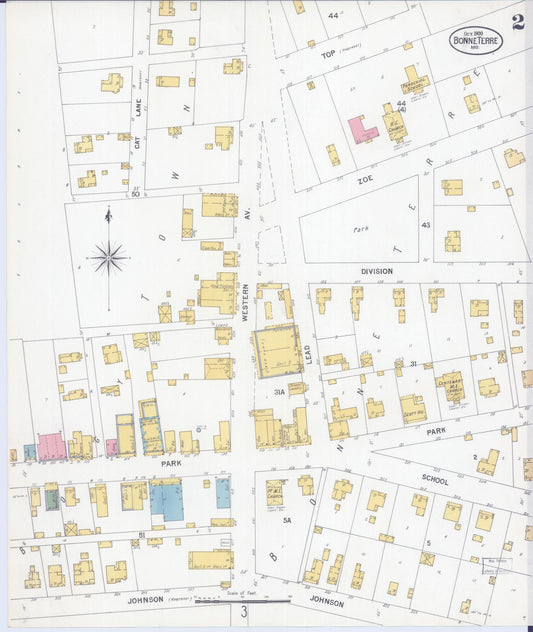 Sanborn Fire Insurance Map from Bonne Terre, Saint Francois County, Missouri (1900), Sheet #0002 - Historic Sanborn Fire Insurance Map Print, vintage old map wall art, antique decor, genealogy gift, Missouri Missouri map