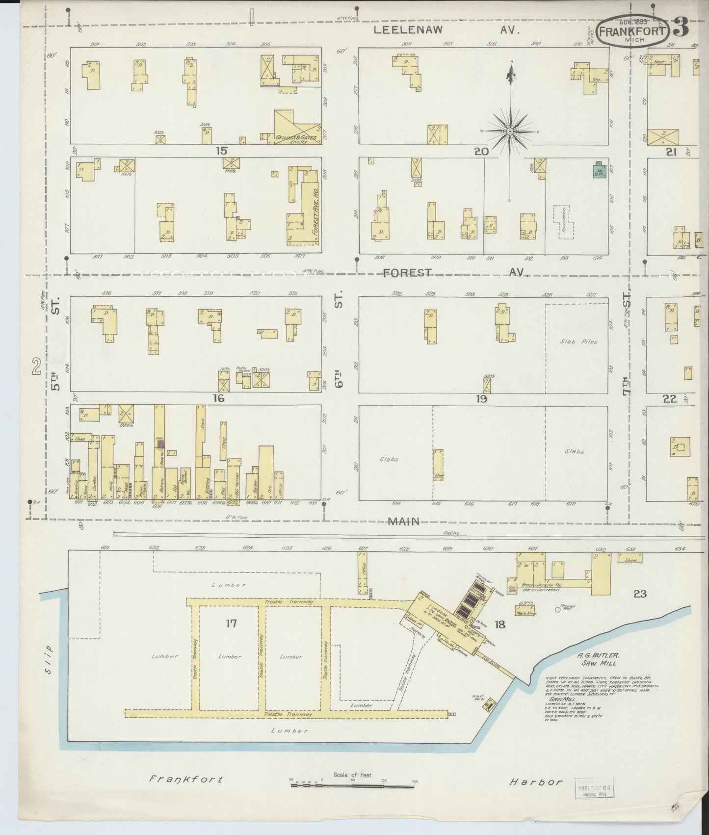 Sanborn Fire Insurance Map from Frankfort, Benzie County, Michigan (1893), Sheet #0003 - Historic Sanborn Fire Insurance Map Print, vintage old map wall art, antique decor, genealogy gift, Michigan Michigan map