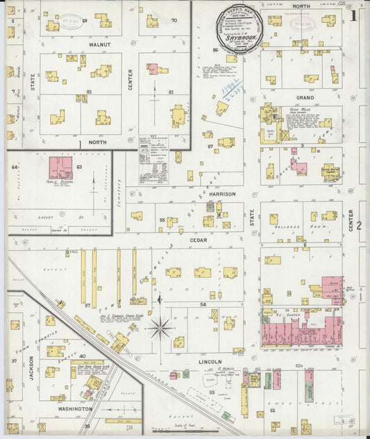 Sanborn Fire Insurance Map from Saybrook, McLean County, Illinois (1899), Sheet #0001 - Historic Sanborn Fire Insurance Map Print, vintage old map wall art, antique decor, genealogy gift, Illinois Illinois map