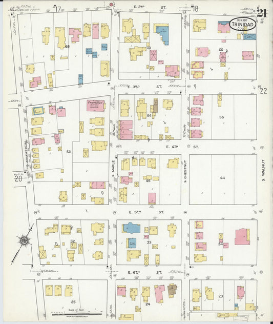 Sanborn Fire Insurance Map from Trinidad, Las Animas County, Colorado (1917), Sheet #0021 - Historic Sanborn Fire Insurance Map Print, vintage old map wall art, antique decor, genealogy gift, Colorado Colorado map