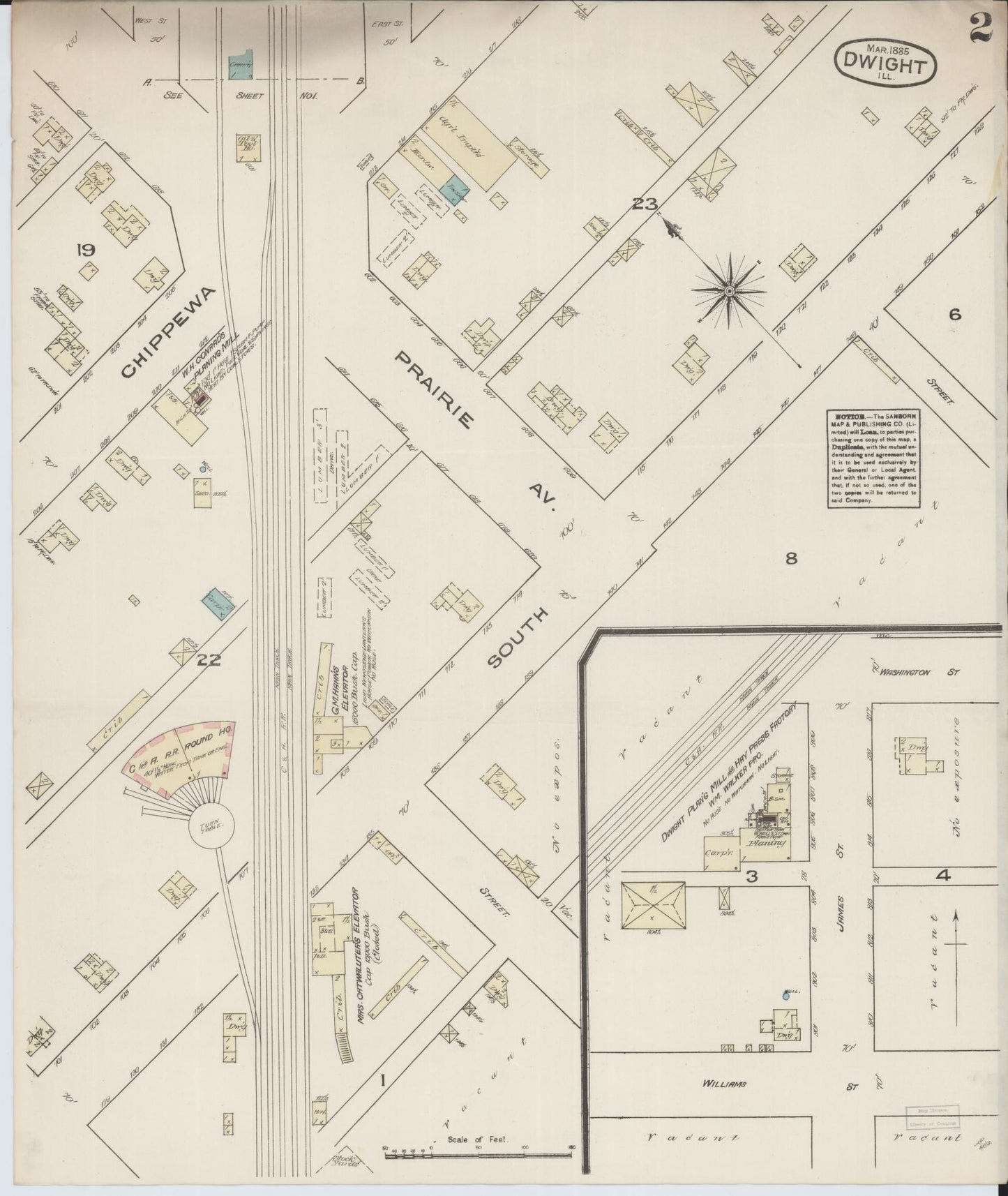 Sanborn Fire Insurance Map from Dwight, Livingston County, Illinois (1885), Sheet #0002 - Historic Sanborn Fire Insurance Map Print, vintage old map wall art, antique decor, genealogy gift, Illinois Illinois map