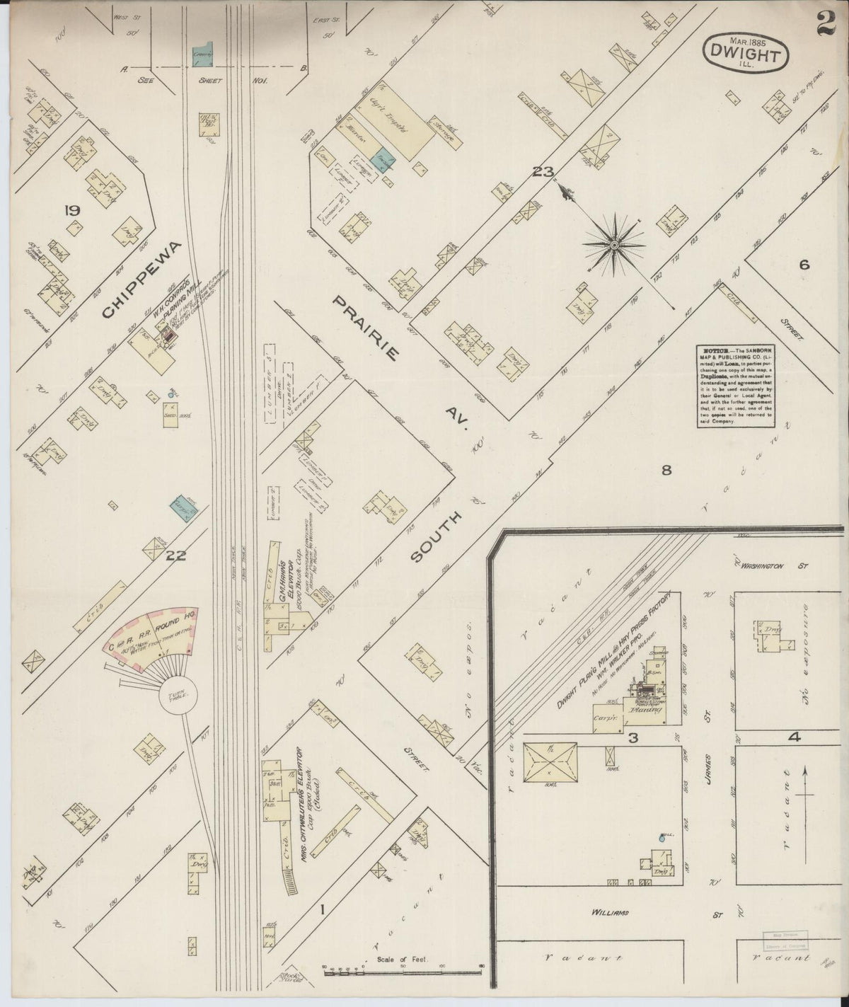 Sanborn Fire Insurance Map from Dwight, Livingston County, Illinois (1885), Sheet #0002 - Historic Sanborn Fire Insurance Map Print, vintage old map wall art, antique decor, genealogy gift, Illinois Illinois map