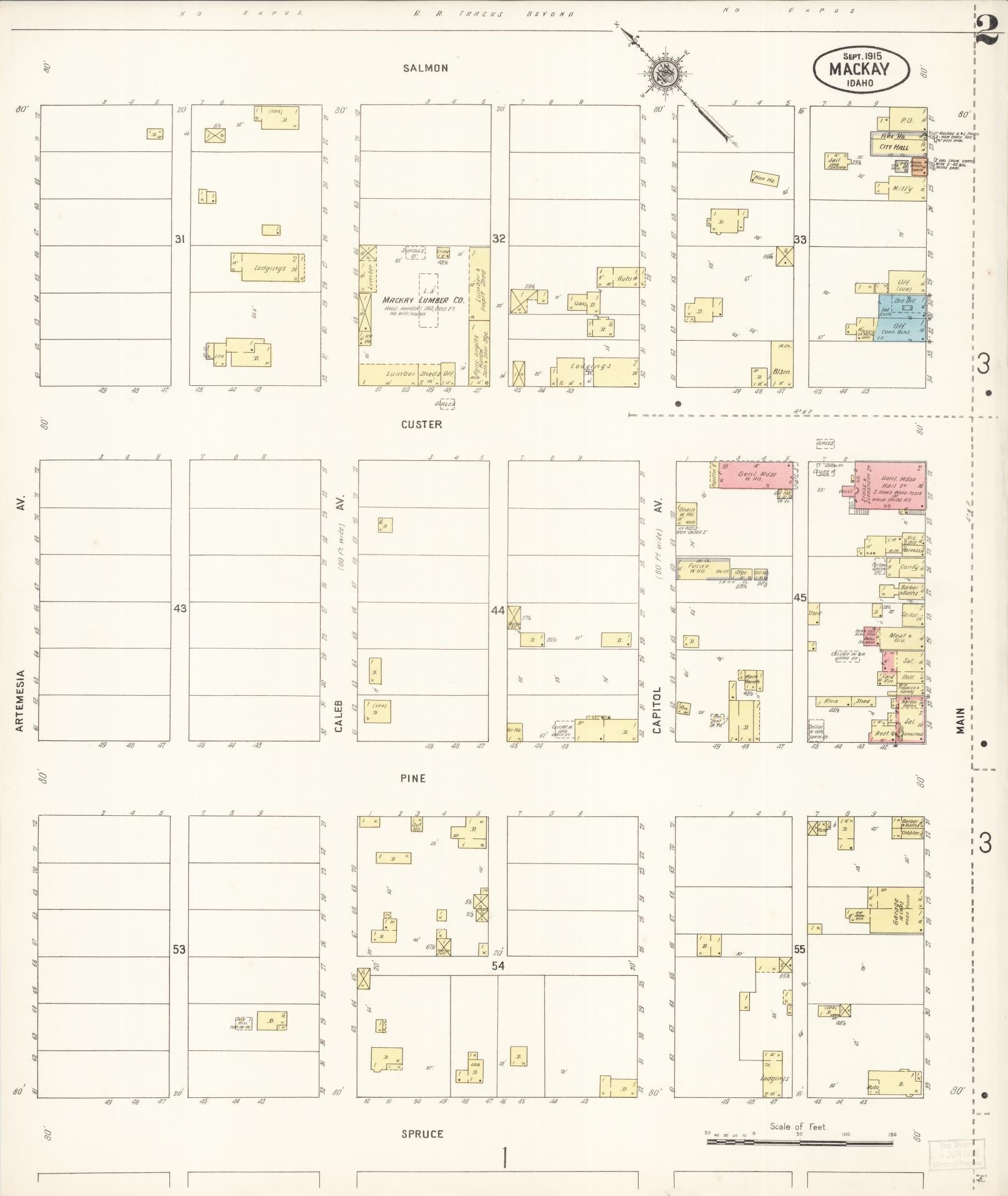 Sanborn Fire Insurance Map from Mackay, Custer County, Idaho (1915), Sheet #0002 - Complete Map Set gallery image, historic Sanborn map, vintage wall art, Idaho Idaho