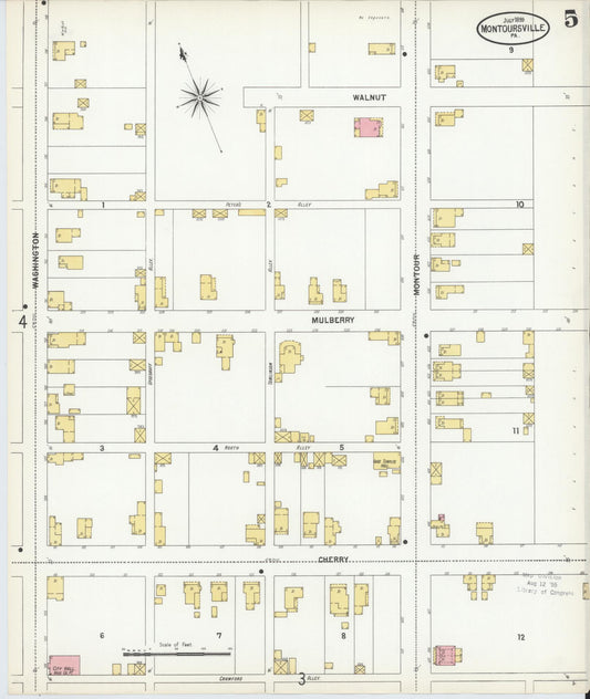 Sanborn Fire Insurance Map from Montoursville, Lycoming County, Pennsylvania (1899), Sheet #0005 - Historic Sanborn Fire Insurance Map Print, vintage old map wall art, antique decor, genealogy gift, Pennsylvania Pennsylvania map