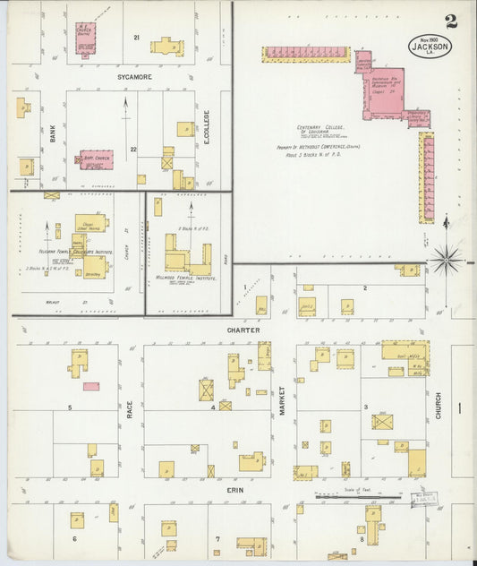 Sanborn Fire Insurance Map from Jackson, East Feliciana Parish, Louisiana (1900), Sheet #0002 - Historic Sanborn Fire Insurance Map Print, vintage old map wall art, antique decor, genealogy gift, Louisiana Louisiana map