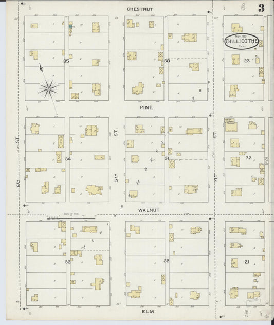 Sanborn Fire Insurance Map from Chillicothe, Peoria County, Illinois (1893), Sheet #0003 - Historic Sanborn Fire Insurance Map Print, vintage old map wall art, antique decor, genealogy gift, Illinois Illinois map