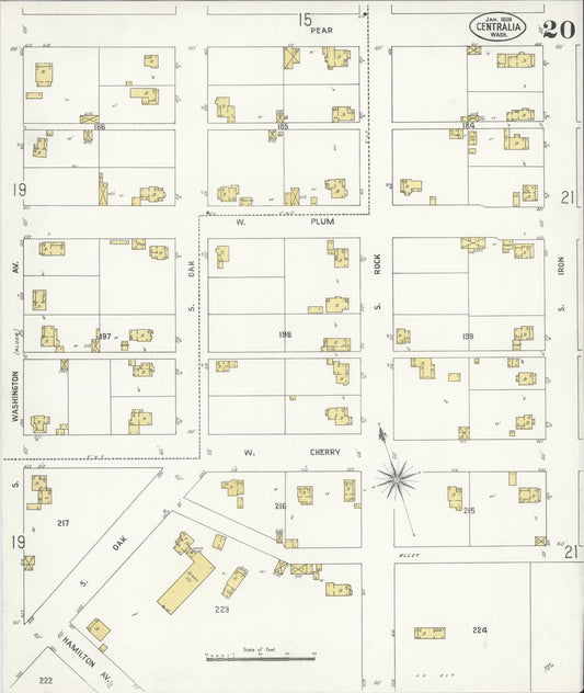 Sanborn Fire Insurance Map from Centralia, Lewis County, Washington (1909), Sheet #0020 - Historic Sanborn Fire Insurance Map Print, vintage old map wall art, antique decor, genealogy gift, Washington Washington map