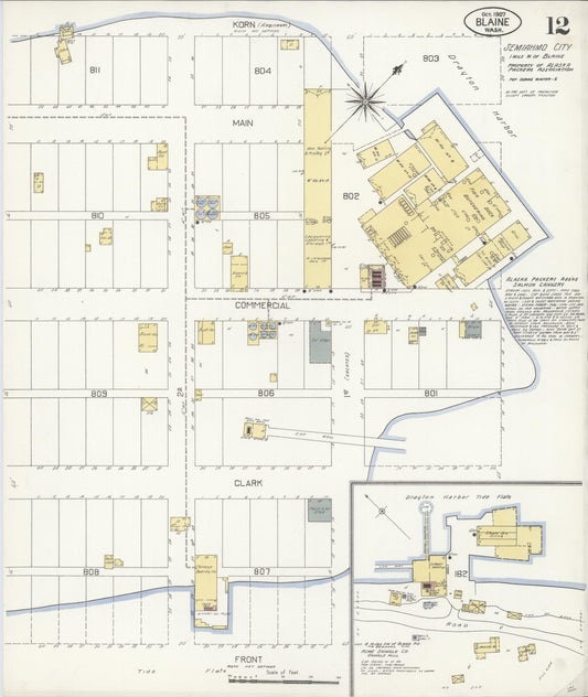 Sanborn Fire Insurance Map from Blaine, Whatcom County, Washington (1907), Sheet #0012 - Historic Sanborn Fire Insurance Map Print, vintage old map wall art, antique decor, genealogy gift, Washington Washington map