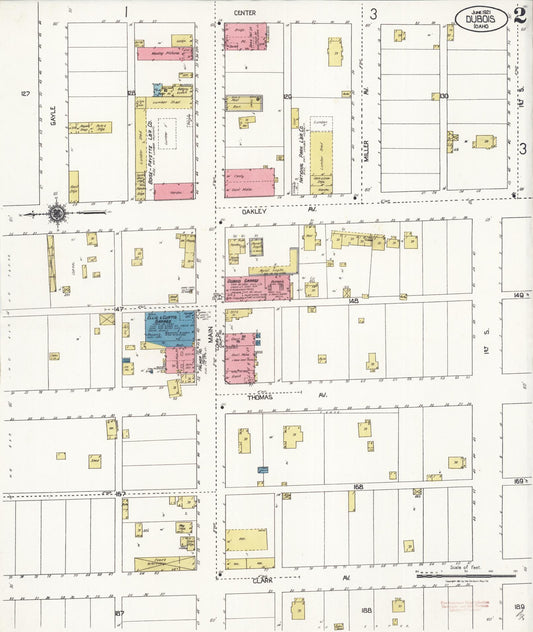 Sanborn Fire Insurance Map from Dubois, Clark County, Idaho (1921), Sheet #0002 - Historic Sanborn Fire Insurance Map Print, vintage old map wall art, antique decor, genealogy gift, Idaho Idaho map