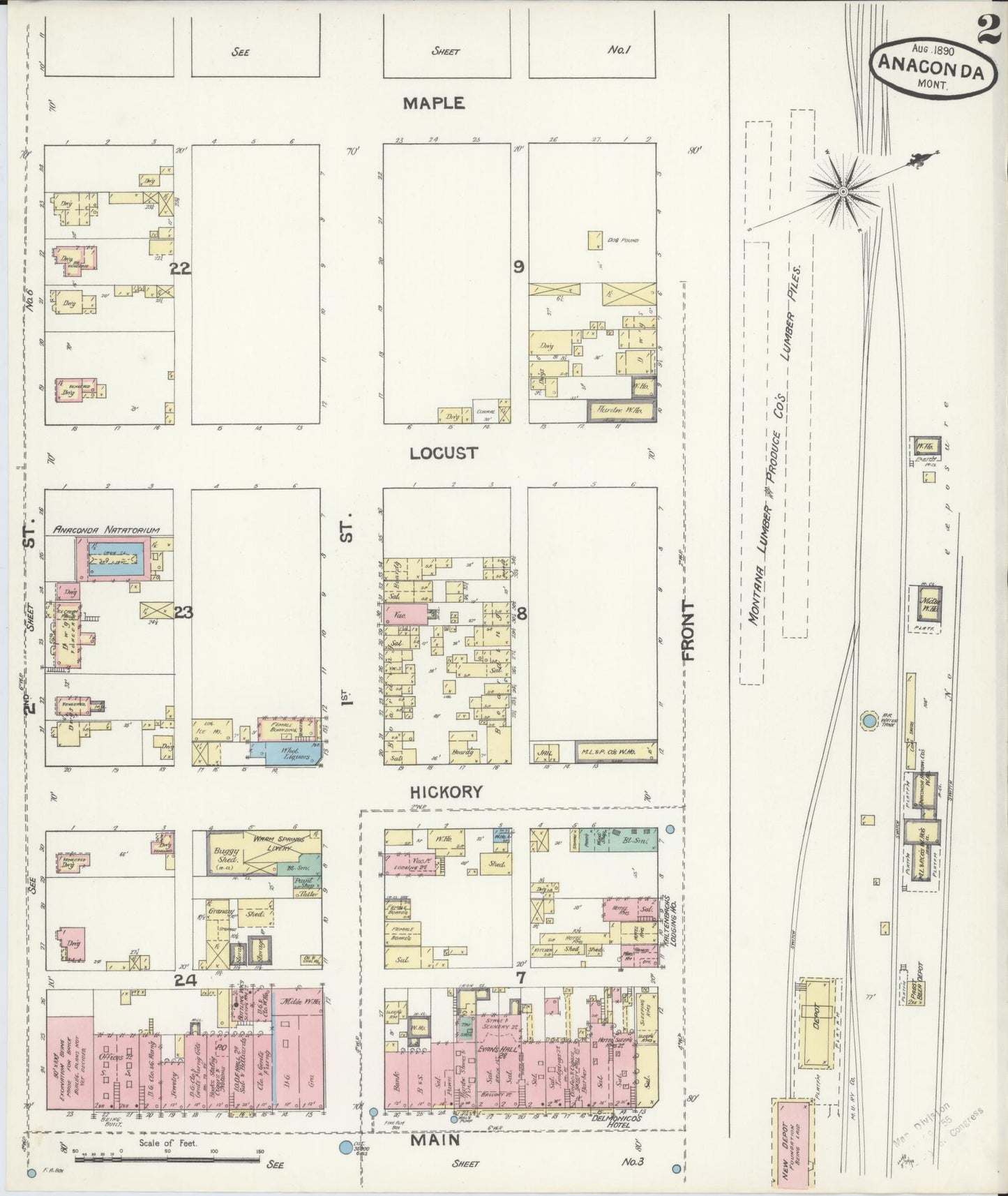Sanborn Fire Insurance Map from Anaconda, Deer Lodge County, Montana (1890), Sheet #0002 - Historic Sanborn Fire Insurance Map Print, vintage old map wall art, antique decor, genealogy gift, Montana Montana map