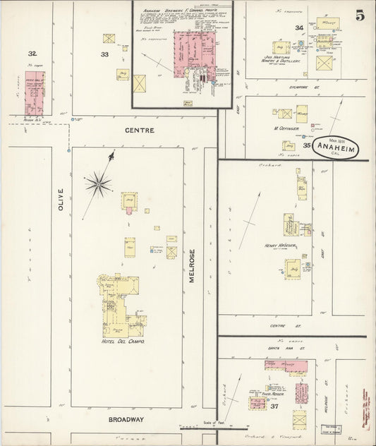 Sanborn Fire Insurance Map from Anaheim, Orange County, California (1891), Sheet #0005 - Historic Sanborn Fire Insurance Map Print, vintage old map wall art, antique decor, genealogy gift, California California map