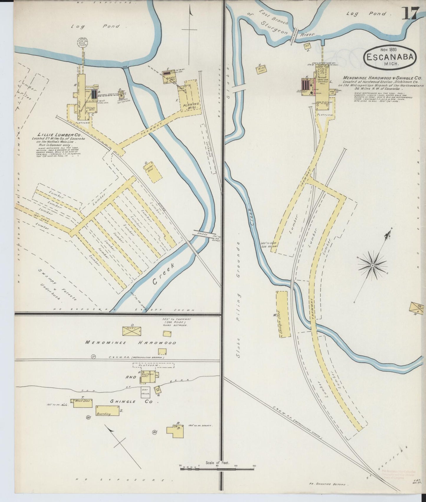 Sanborn Fire Insurance Map from Escanaba, Delta County, Michigan (1893), Sheet #0017 - Historic Sanborn Fire Insurance Map Print, vintage old map wall art, antique decor, genealogy gift, Michigan Michigan map