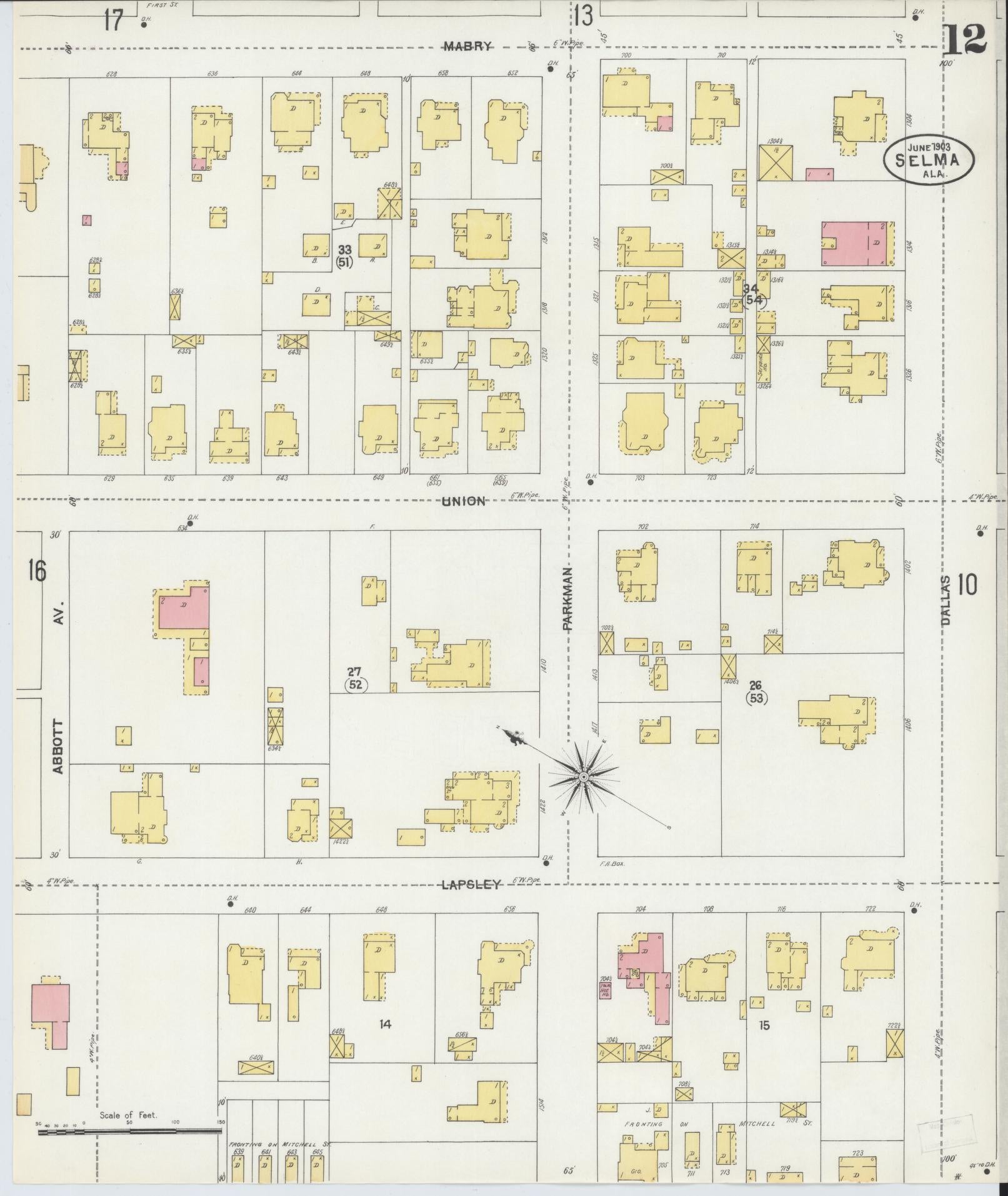 Sanborn Fire Insurance Map from Selma, Dallas County, Alabama (1903), Sheet #0012 - Historic Sanborn Fire Insurance Map Print, vintage old map wall art, antique decor, genealogy gift, Alabama Alabama map