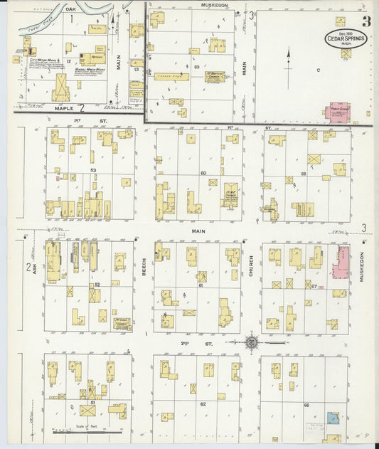 Sanborn Fire Insurance Map from Cedar Springs, Kent County, Michigan (1910), Sheet #0003 - Historic Sanborn Fire Insurance Map Print, vintage old map wall art, antique decor, genealogy gift, Michigan Michigan map