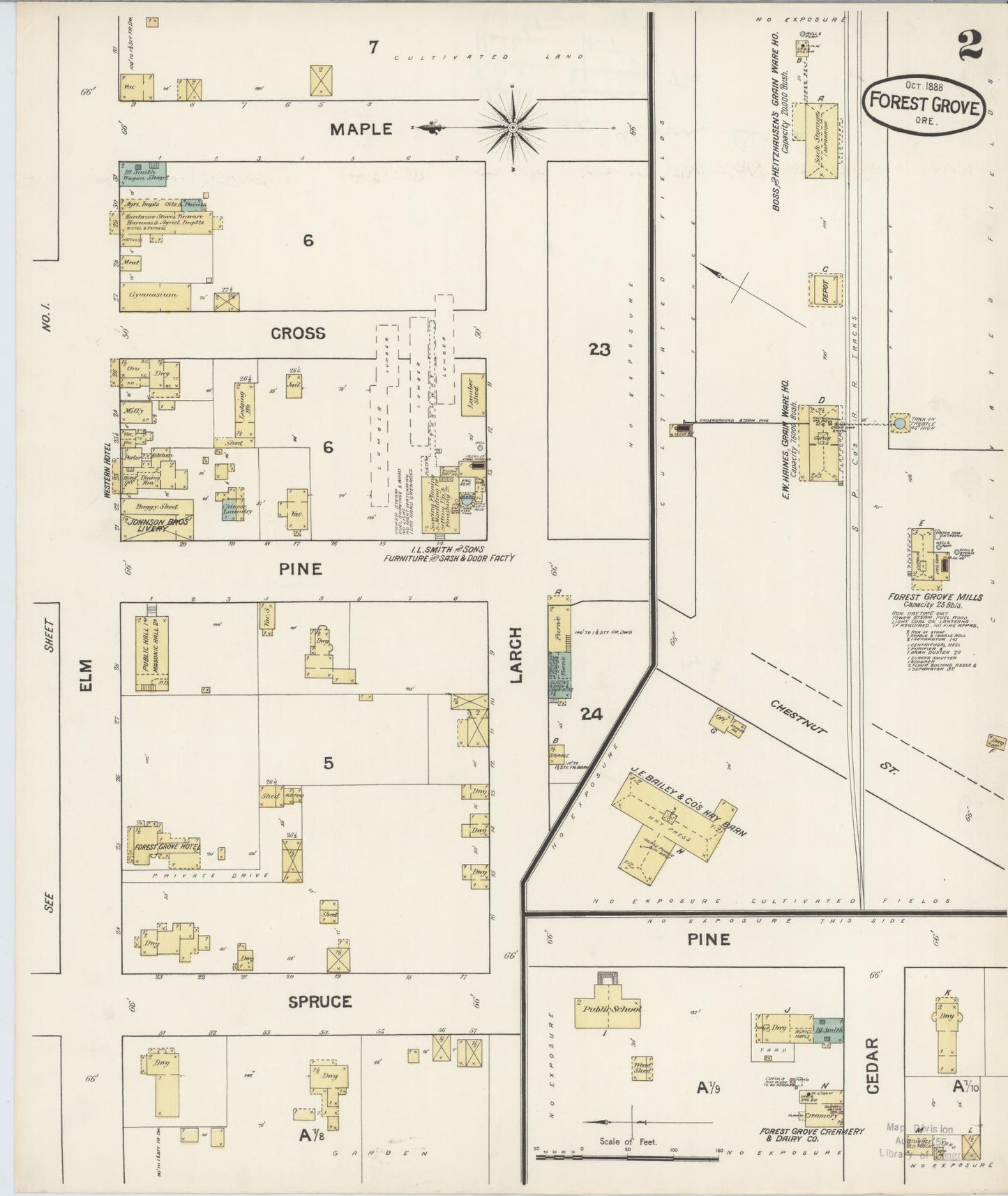 Sanborn Fire Insurance Map from Forest Grove, Washington County, Oregon (1888), Sheet #0002 - Historic Sanborn Fire Insurance Map Print, vintage old map wall art, antique decor, genealogy gift, Oregon Oregon map