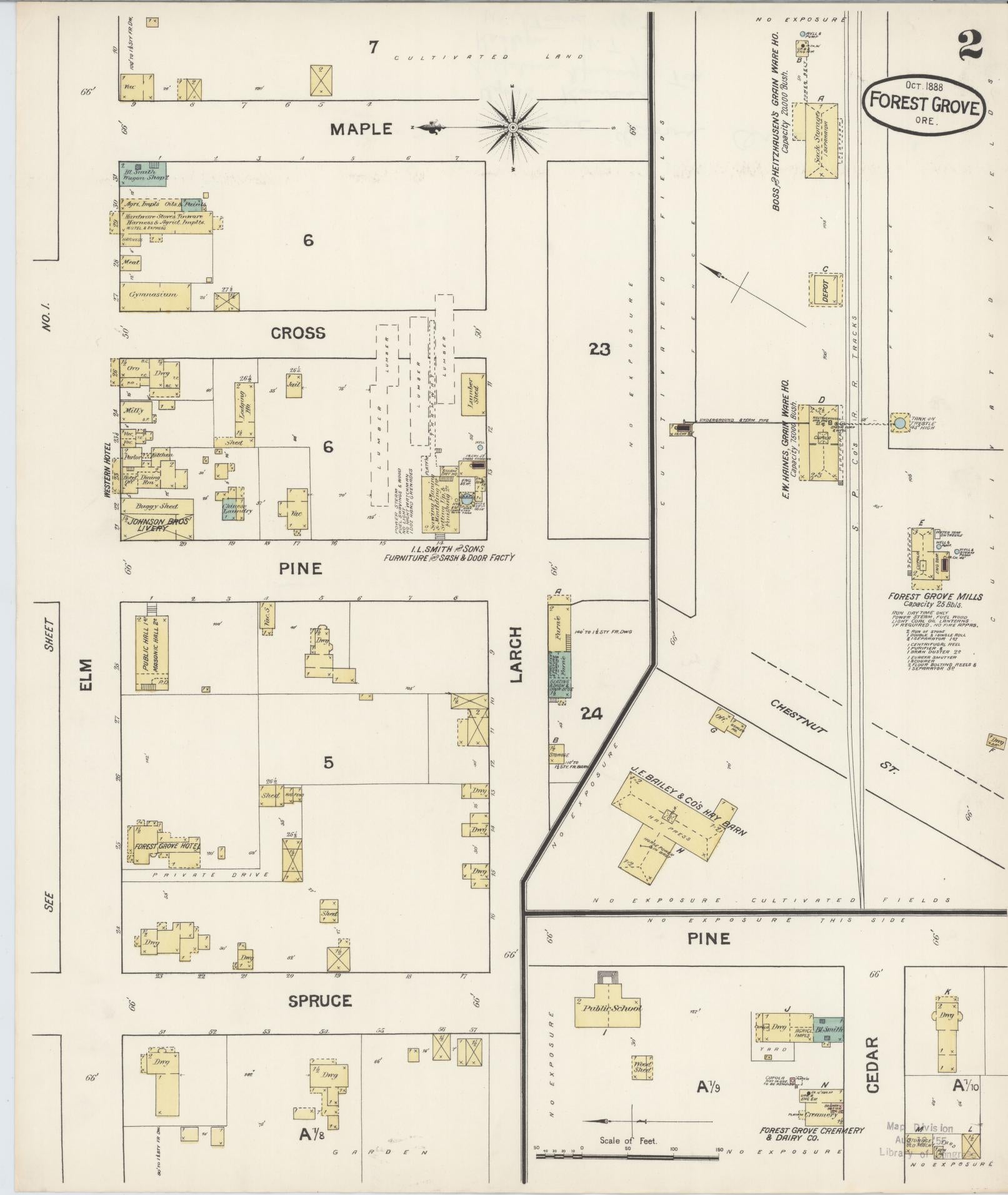 Sanborn Fire Insurance Map from Forest Grove, Washington County, Oregon (1888), Sheet #0002 - Historic Sanborn Fire Insurance Map Print, vintage old map wall art, antique decor, genealogy gift, Oregon Oregon map