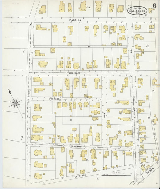 Sanborn Fire Insurance Map from Salisbury, Wicomico County, Maryland (1904), Sheet #0006 - Historic Sanborn Fire Insurance Map Print, vintage old map wall art