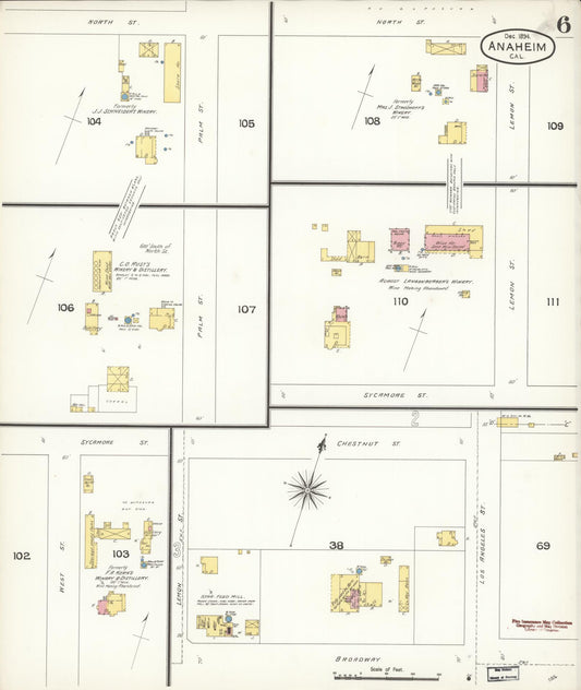 Sanborn Fire Insurance Map from Anaheim, Orange County, California (1894), Sheet #0006 - Historic Sanborn Fire Insurance Map Print, vintage old map wall art, antique decor, genealogy gift, California California map