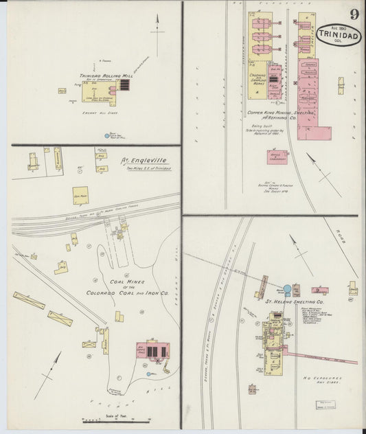 Sanborn Fire Insurance Map from Trinidad, Las Animas County, Colorado (1890), Sheet #0009 - Historic Sanborn Fire Insurance Map Print, vintage old map wall art, antique decor, genealogy gift, Colorado Colorado map