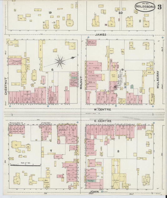 Sanborn Fire Insurance Map from Goldsboro, Wayne County, North Carolina (1891), Sheet #0003 - Historic Sanborn Fire Insurance Map Print, vintage old map wall art, antique decor, genealogy gift, North Carolina North Carolina map