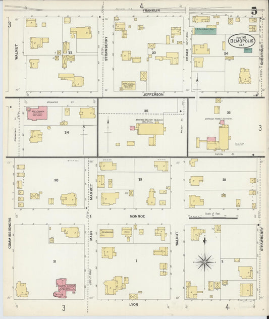 Sanborn Fire Insurance Map from Demopolis, Marengo County, Alabama (1903), Sheet #0005 - Historic Sanborn Fire Insurance Map Print, vintage old map wall art, antique decor, genealogy gift, Alabama Alabama map