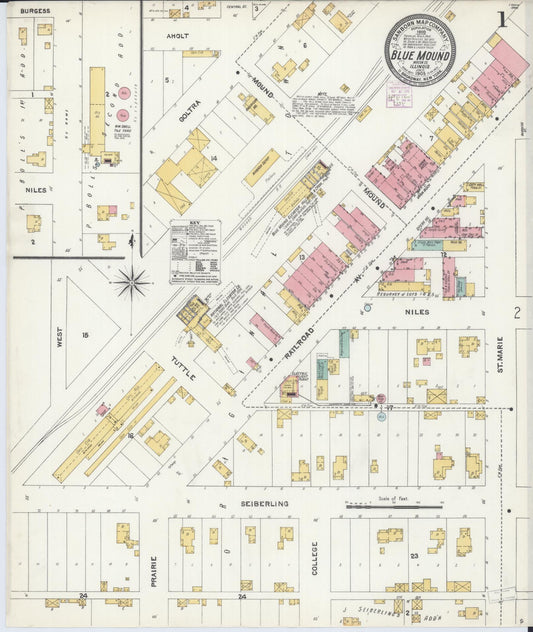 Sanborn Fire Insurance Map from Blue Mound, Macon County, Illinois (1905), Sheet #0001 - Historic Sanborn Fire Insurance Map Print, vintage old map wall art, antique decor, genealogy gift, Illinois Illinois map