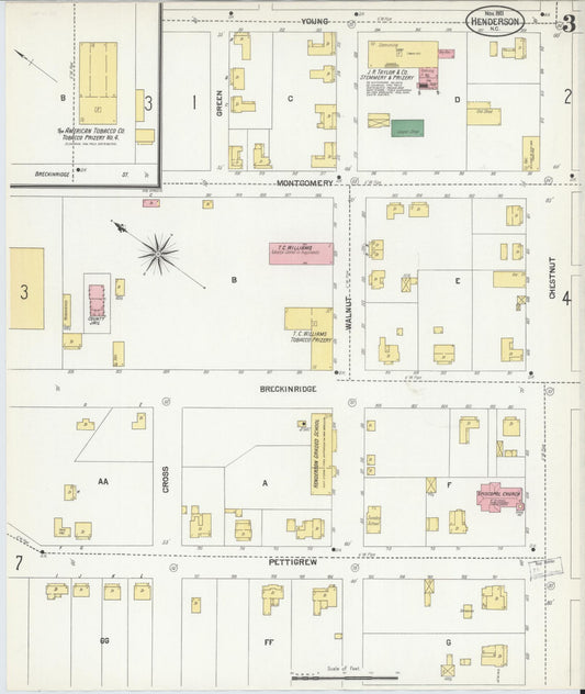 Sanborn Fire Insurance Map from Henderson, Vance County, North Carolina (1901), Sheet #0003 - Historic Sanborn Fire Insurance Map Print, vintage old map wall art, antique decor, genealogy gift, North Carolina North Carolina map