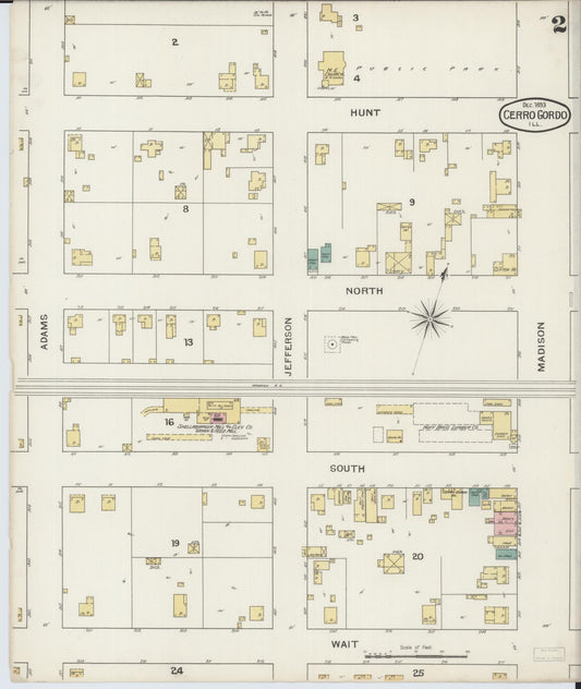 Sanborn Fire Insurance Map from Cerro Gordo, Piatt County, Illinois (1893), Sheet #0002 - Historic Sanborn Fire Insurance Map Print, vintage old map wall art, antique decor, genealogy gift, Illinois Illinois map