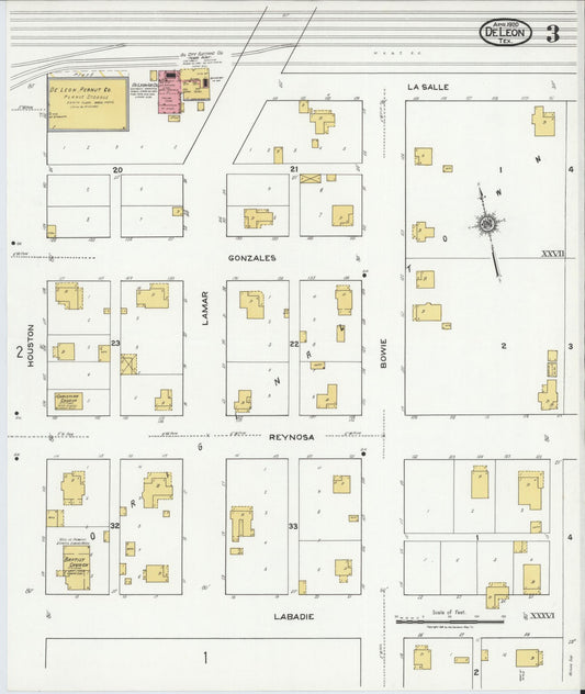 Sanborn Fire Insurance Map from De Leon, Comanche County, Texas (1920), Sheet #0003 - Historic Sanborn Fire Insurance Map Print, vintage old map wall art, antique decor, genealogy gift, Texas Texas map
