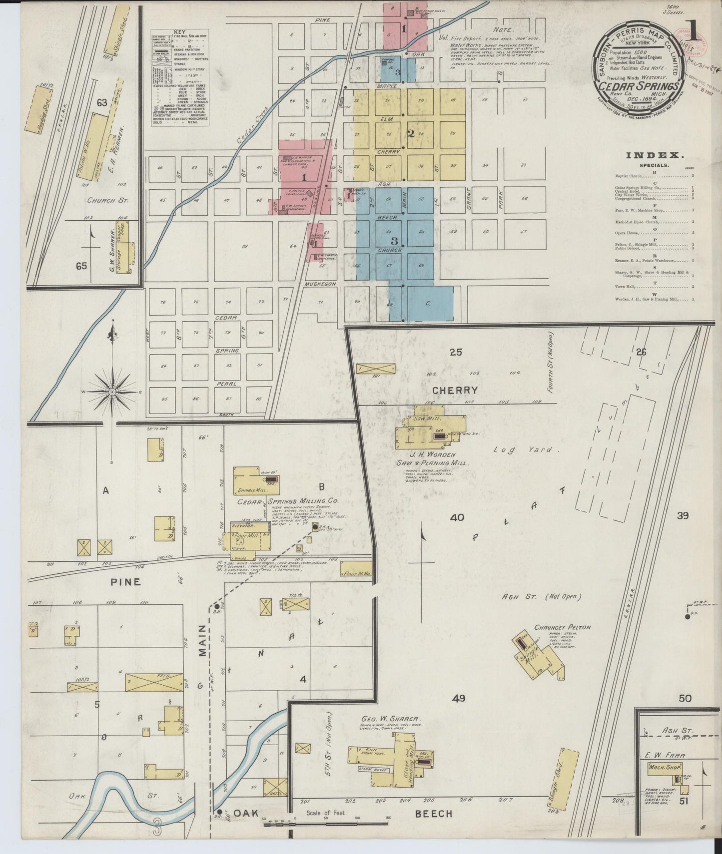 Sanborn Fire Insurance Map from Cedar Springs, Kent County, Michigan (1894), Sheet #0001 - Historic Sanborn Fire Insurance Map Print, vintage old map wall art, antique decor, genealogy gift, Michigan Michigan map