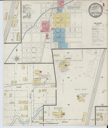 Sanborn Fire Insurance Map from Cedar Springs, Kent County, Michigan (1894), Sheet #0001 - Historic Sanborn Fire Insurance Map Print, vintage old map wall art, antique decor, genealogy gift, Michigan Michigan map