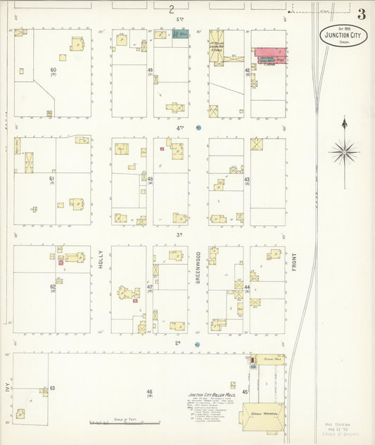 Sanborn Fire Insurance Map from Junction City, Lane County, Oregon (1898), Sheet #0003 - Historic Sanborn Fire Insurance Map Print, vintage old map wall art, antique decor, genealogy gift, Oregon Oregon map