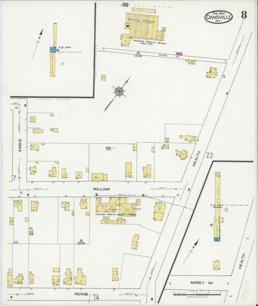 Sanborn Fire Insurance Map from Dansville, Livingston County, New York (1920), Sheet #0008 - Historic Sanborn Fire Insurance Map Print, vintage old map wall art, antique decor, genealogy gift, New York New York map