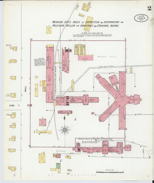 Sanborn Fire Insurance Map from Ionia, Ionia County, Michigan (1900), Sheet #0002 - Historic Sanborn Fire Insurance Map Print, vintage old map wall art, antique decor, genealogy gift, Michigan Michigan map