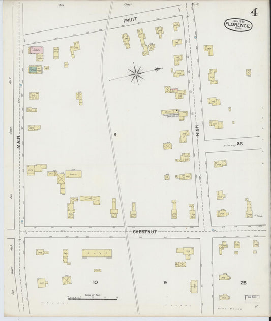 Sanborn Fire Insurance Map from Florence, Hampshire County, Massachusetts (1889), Sheet #0004 - Historic Sanborn Fire Insurance Map Print, vintage old map wall art, antique decor, genealogy gift, Massachusetts Massachusetts map