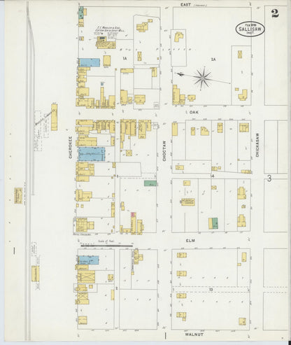 Sanborn Fire Insurance Map from Sallisaw, Sequoyah County, Oklahoma (1899), Sheet #0002 - Complete Map Set gallery image, historic Sanborn map, vintage wall art, Oklahoma Oklahoma