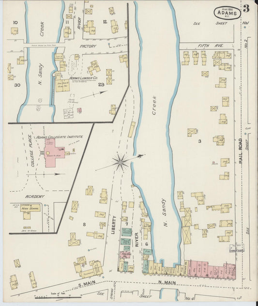 Sanborn Fire Insurance Map from Adams, Jefferson County, New York (1890), Sheet #0003 - Historic Sanborn Fire Insurance Map Print, vintage old map wall art, antique decor, genealogy gift, New York New York map
