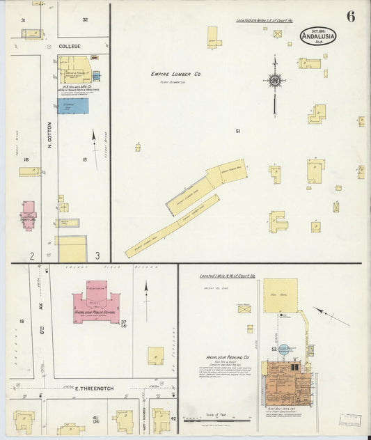 Sanborn Fire Insurance Map from Andalusia, Covington County, Alabama (1916), Sheet #0006 - Historic Sanborn Fire Insurance Map Print, vintage old map wall art, antique decor, genealogy gift, Alabama Alabama map