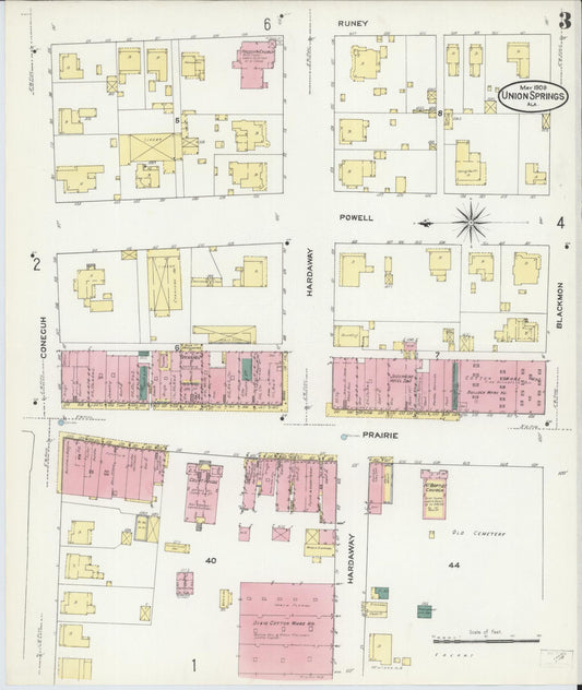 Sanborn Fire Insurance Map from Union Springs, Bullock County, Alabama (1909), Sheet #0003 - Historic Sanborn Fire Insurance Map Print, vintage old map wall art, antique decor, genealogy gift, Alabama Alabama map