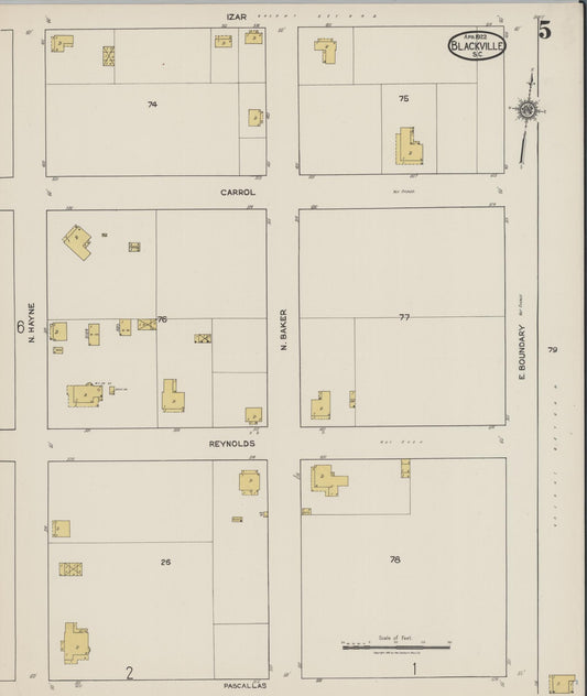 Sanborn Fire Insurance Map from Blackville, Barnwell County, South Carolina (1922), Sheet #0005 - Historic Sanborn Fire Insurance Map Print, vintage old map wall art, antique decor, genealogy gift, South Carolina South Carolina map