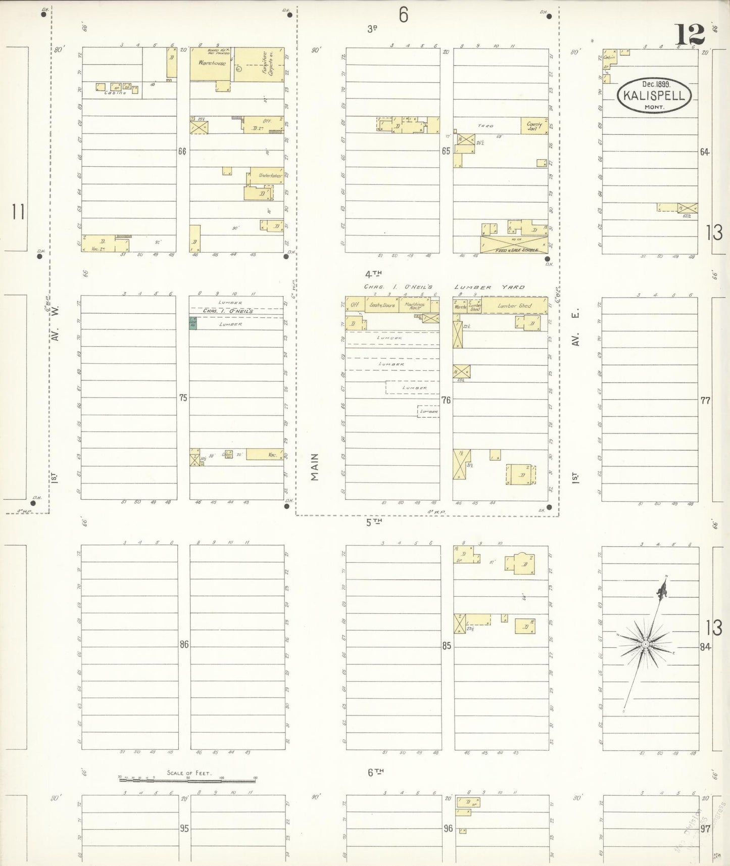 Sanborn Fire Insurance Map from Kalispell, Flathead County, Montana (1899), Sheet #0012 - Historic Sanborn Fire Insurance Map Print, vintage old map wall art, antique decor, genealogy gift, Montana Montana map
