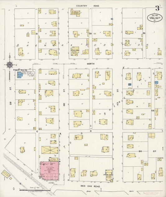Sanborn Fire Insurance Map from Walnut, Bureau County, Illinois (1921), Sheet #0003 - Historic Sanborn Fire Insurance Map Print, vintage old map wall art, antique decor, genealogy gift, Illinois Illinois map