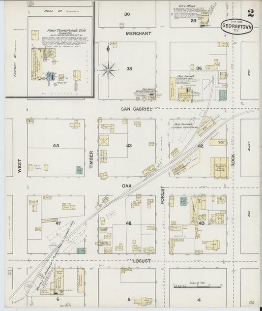 Sanborn Fire Insurance Map from Georgetown, Williamson County, Texas (1889), Sheet #0002 - Historic Sanborn Fire Insurance Map Print, vintage old map wall art, antique decor, genealogy gift, Texas Texas map